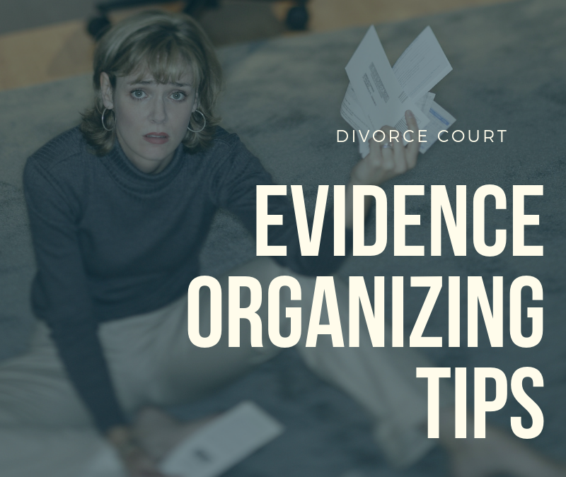 Your Evidence Organizer