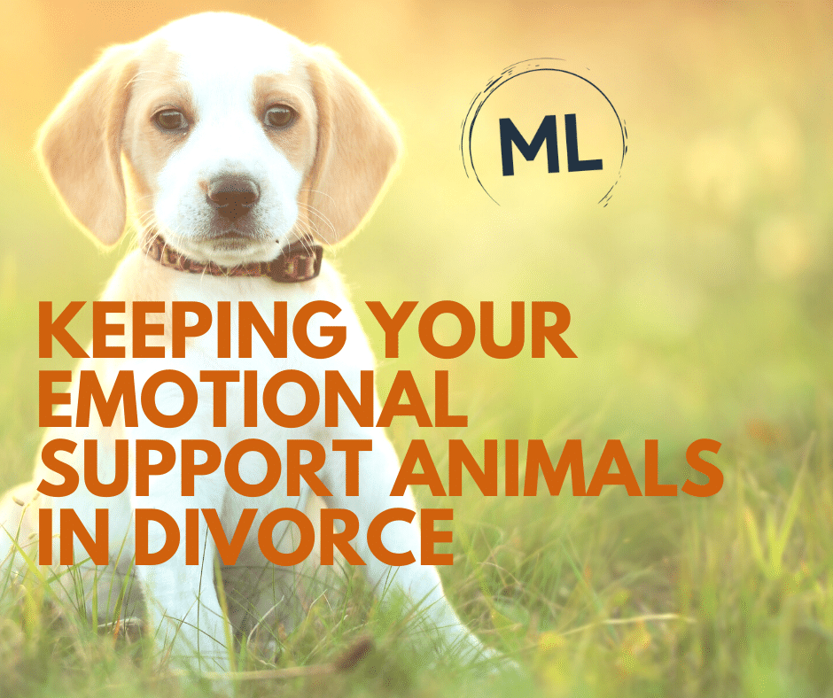 Emotional Support Animals and Divorce by Modern Law