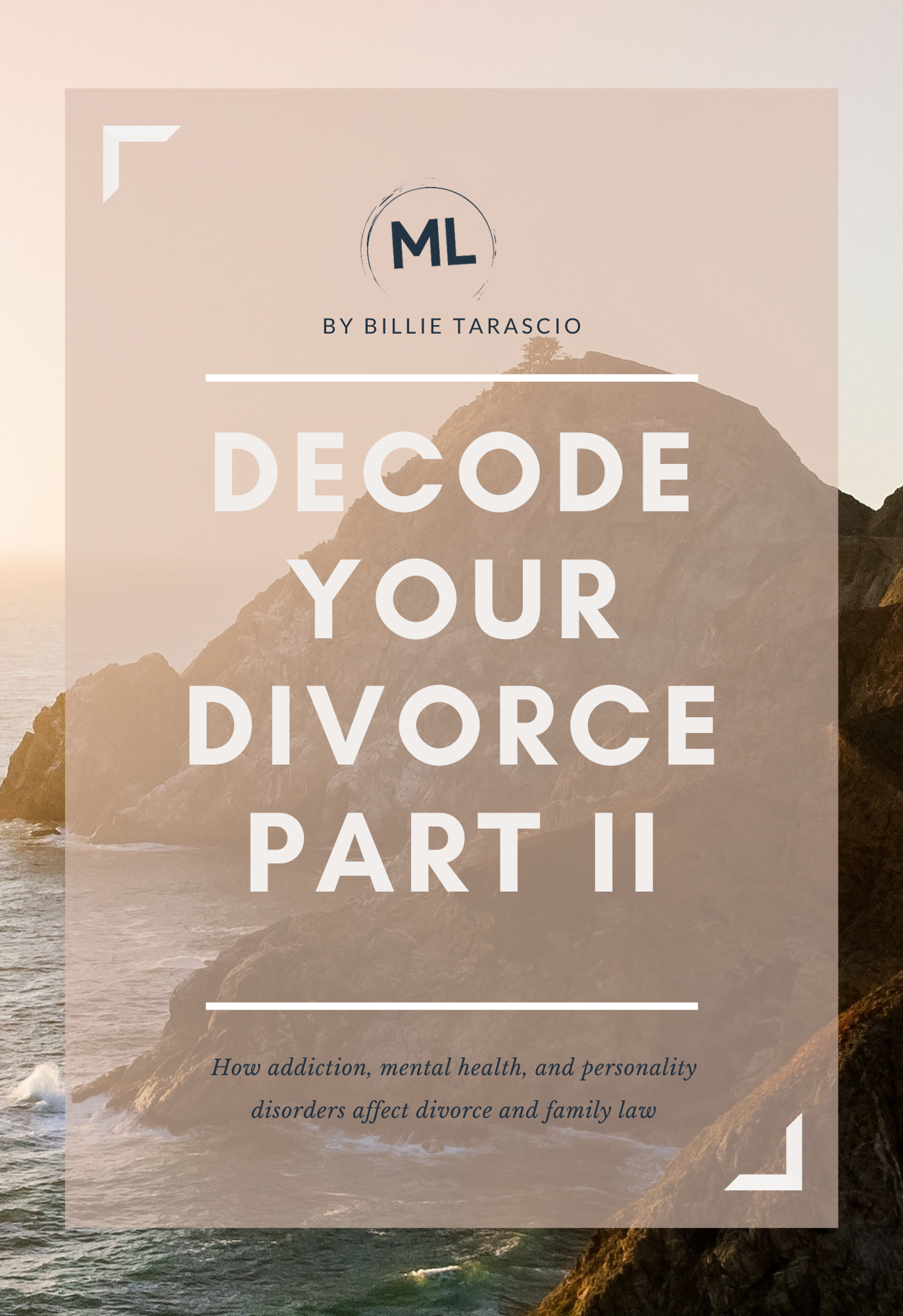 51pF7fERpqL._SX404_BO1,204,203,200_ Decode Your Divorce Part II by Billie Tarascio