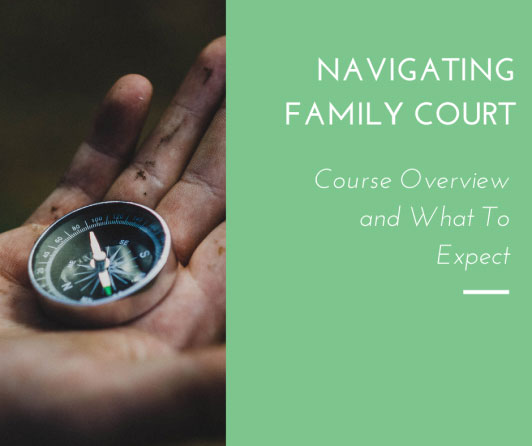 ML Course - The Family Court Process in Arizona