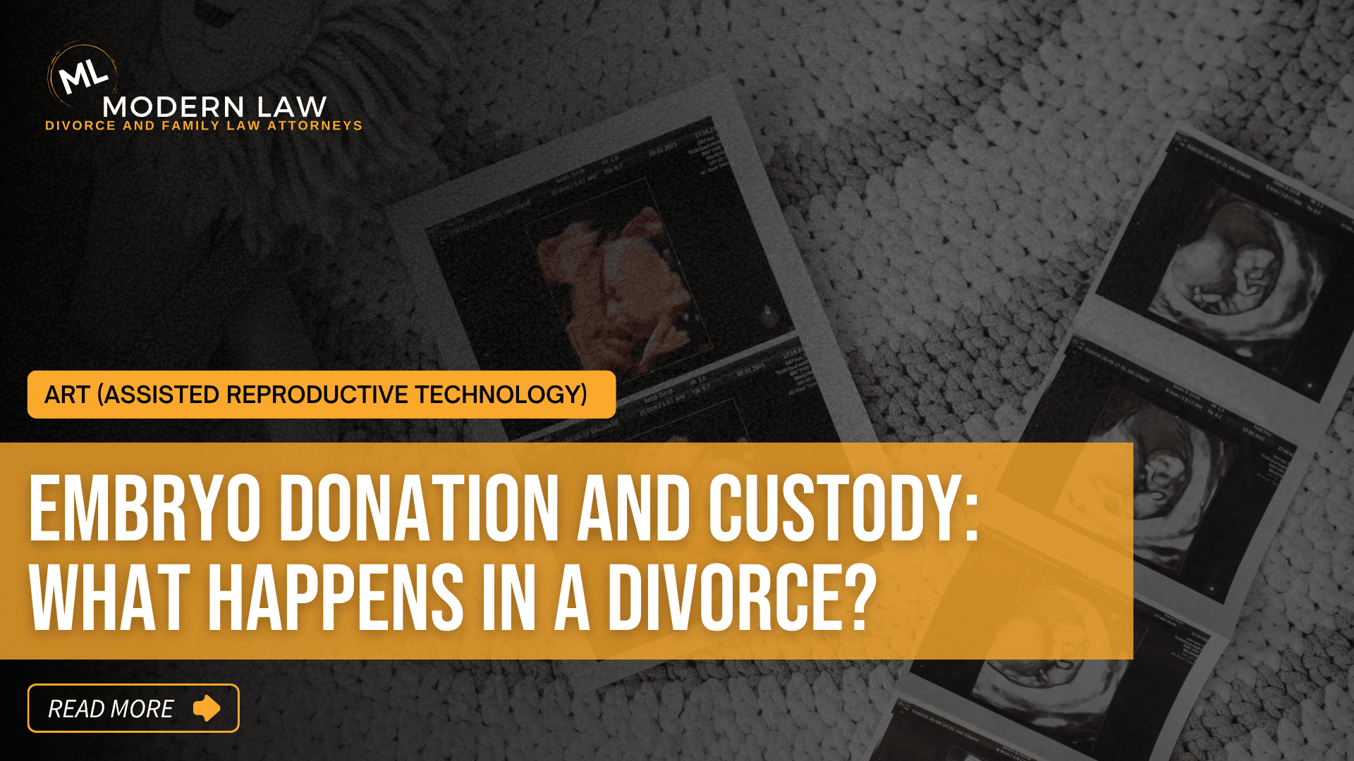 embryo custody Arizona
